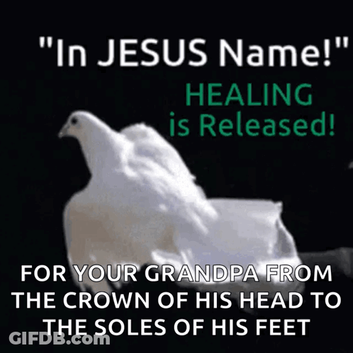 A Picture Of A White Dove With The Words " In Jesus Name Healing Is Released " Below It GIF