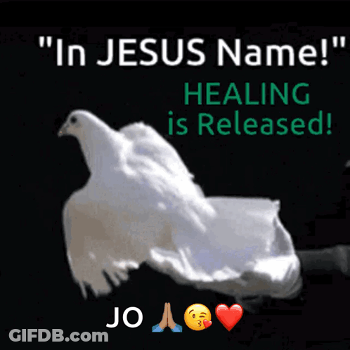A Picture Of A White Dove With The Words " In Jesus Name " Healing Is Released GIF