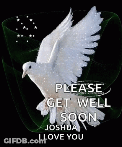 A Picture Of A White Dove With The Words Please Get Well Soon Joshua I Love You On It GIF