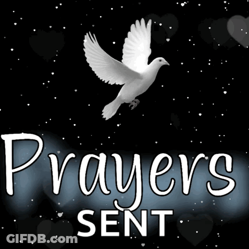 A Picture Of A White Dove With The Words " Prayers Sent " Below It GIF