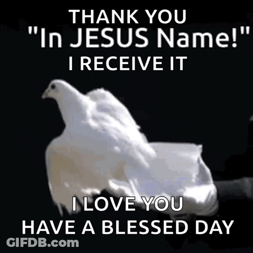 A Picture Of A White Dove With The Words Thank You In Jesus Name Receive It I Love You Have A Blessed Day GIF