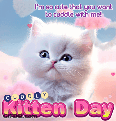 A Picture Of A White Kitten With The Words " I 'M So Cute That You Want To Cuddle With Me " Below It GIF