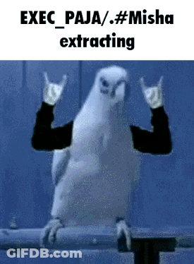 A Picture Of A White Parrot With A Caption That Says Exec Paja / Misha Extracting GIF