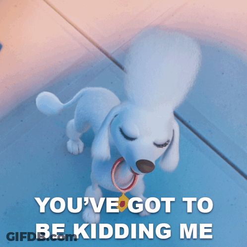 A Picture Of A White Poodle With The Words You 'Ve Got To Be Kidding Me Above It GIF