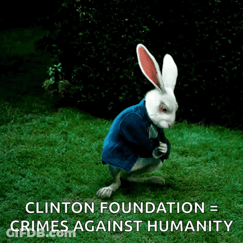 A Picture Of A White Rabbit With The Words " Clinton Foundation = Crimes Against Humanity " Below It GIF