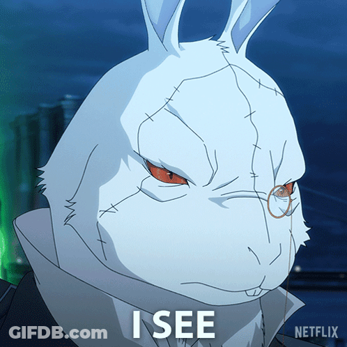 A Picture Of A White Rabbit With The Words I See On It GIF