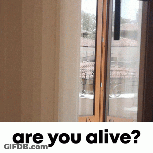 A Picture Of A Window And The Words " Are You Alive " GIF