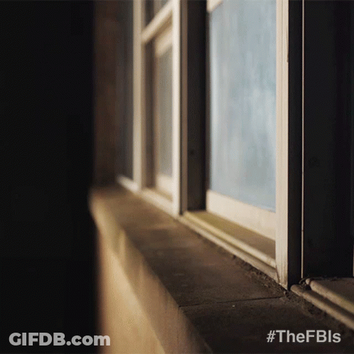 A Picture Of A Window With The Hashtag #Thefbls On The Bottom GIF