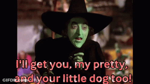A Picture Of A Witch Says I 'Ll Get You My Pretty And Your Little Dog Too GIF