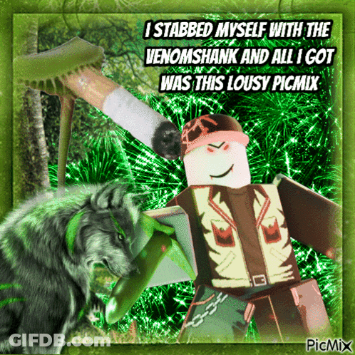 A Picture Of A Wolf And A Roblox Character With A Caption That Says I Stabbed Myself With The Venomshank GIF