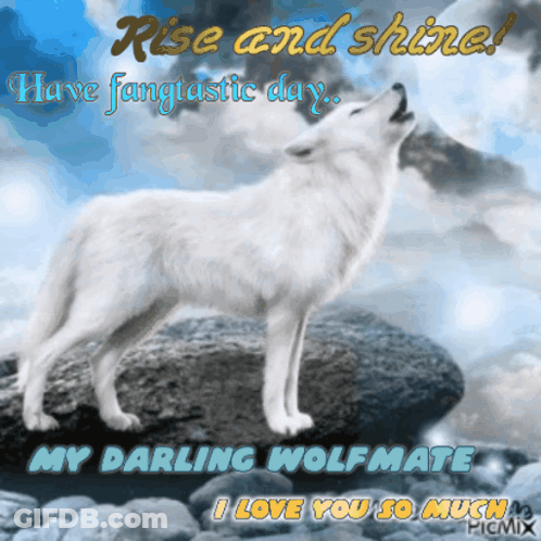 A Picture Of A Wolf Howling With The Words Rise And Shine Above It GIF
