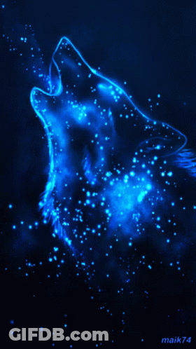 A Picture Of A Wolf With The Name Maik74 On The Bottom Right GIF