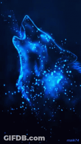 A Picture Of A Wolf With The Name Maik74 Written Below It GIF