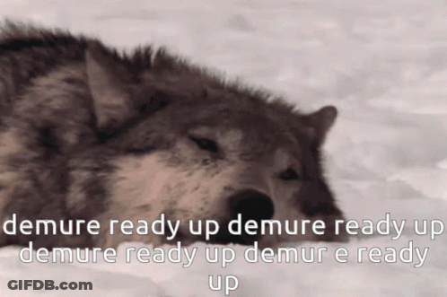 A Picture Of A Wolf With The Words Demure Ready Up Demure Ready Up Demure Ready Up Demure Ready Up GIF
