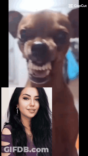 A Picture Of A Woman And A Picture Of A Dog With The Caption Cap Cut GIF