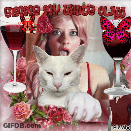 A Picture Of A Woman And A White Cat With The Words Gimme My White Claw On It GIF