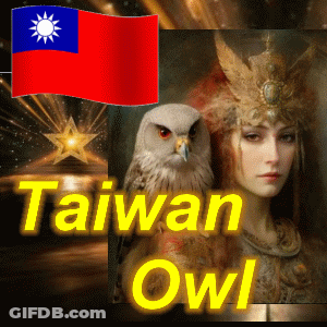 A Picture Of A Woman And An Owl With The Words Taiwan Owl On The Bottom GIF