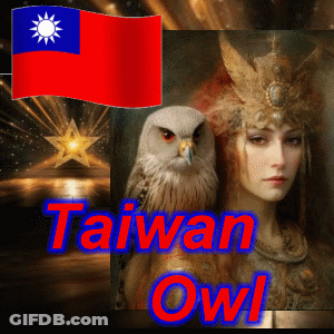 A Picture Of A Woman And An Owl With The Words Taiwan Owl On The Bottom GIF