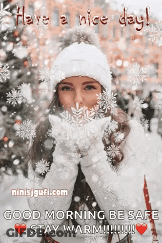 A Picture Of A Woman Blowing Snowflakes With The Words Have A Nice Day Good Morning Be Safe Stay Warm GIF