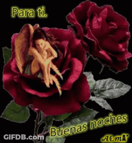 A Picture Of A Woman Sitting On A Rose With The Words Para Ti Buena Noches GIF