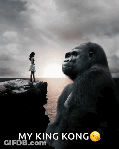 A Picture Of A Woman Standing On A Cliff Next To A Gorilla With The Caption " My King Kong " GIF