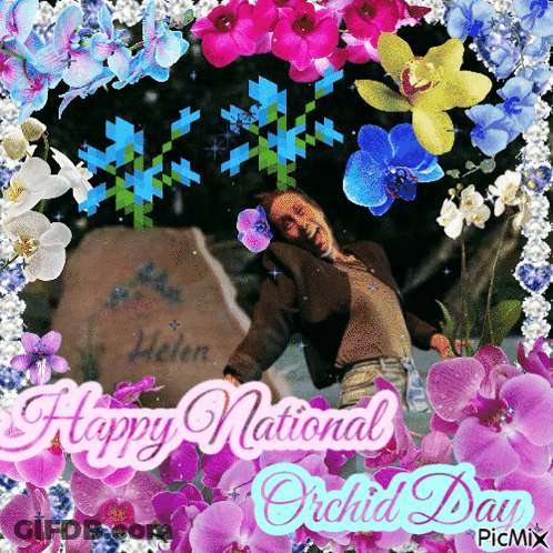 A Picture Of A Woman Surrounded By Flowers With The Words Happy National Orchid Day On The Bottom GIF