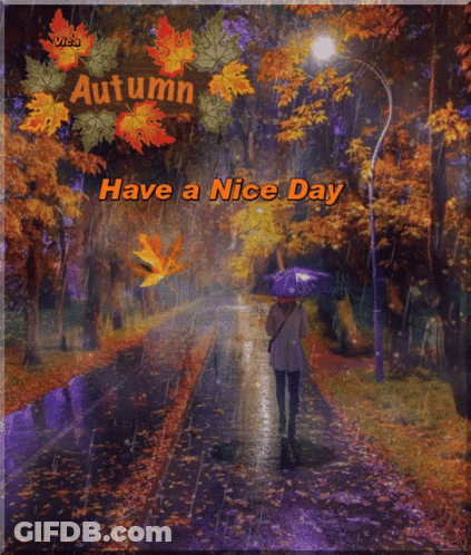 A Picture Of A Woman Walking In The Rain With The Words Have A Nice Day GIF