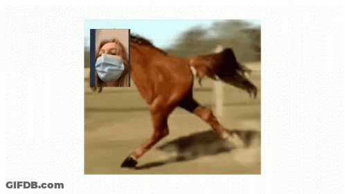A Picture Of A Woman Wearing A Mask Next To A Horse GIF
