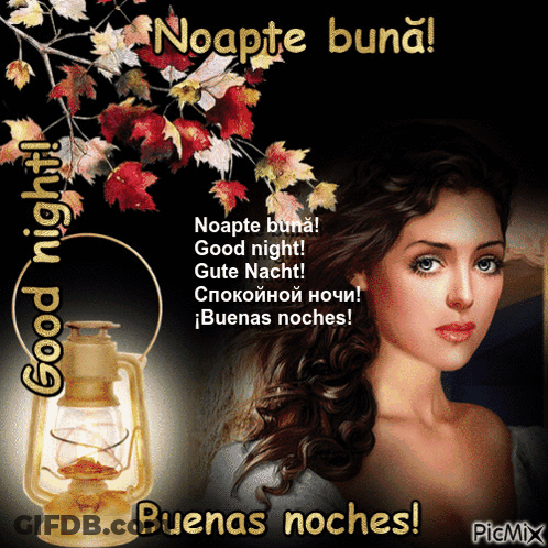 A Picture Of A Woman With A Lantern And The Words " Good Night " GIF