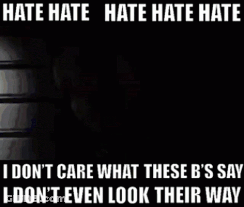 A Picture Of A Woman With The Words Hate Hate Hate Hate I Don T Care What These B 'S Say GIF