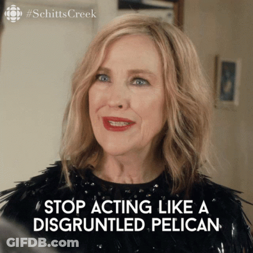 A Picture Of A Woman With The Words Stop Acting Like A Disgruntled Pelican GIF