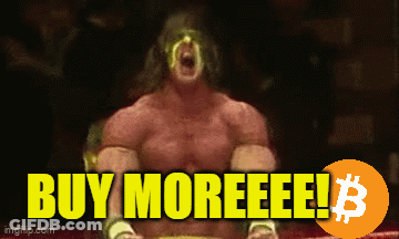 A Picture Of A Wrestler With The Words Buy Moreeee Written On It GIF