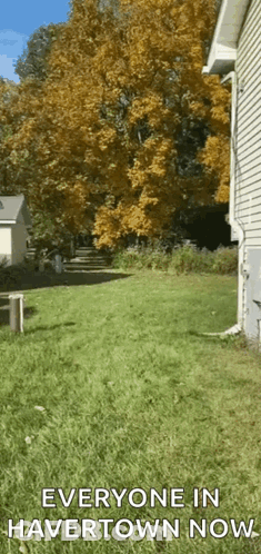 A Picture Of A Yard With The Words Everyone In Havertown Now At The Bottom GIF