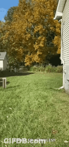 A Picture Of A Yard With The Words Kirkules Kirkules On It GIF