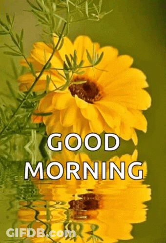 A Picture Of A Yellow Flower With The Words Good Morning Above It GIF