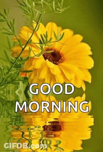 A Picture Of A Yellow Flower With The Words Good Morning Above It GIF