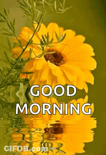 A Picture Of A Yellow Flower With The Words Good Morning Below It GIF