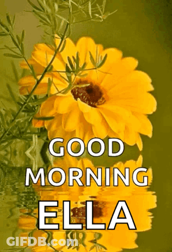 A Picture Of A Yellow Flower With The Words Good Morning Ella On It GIF