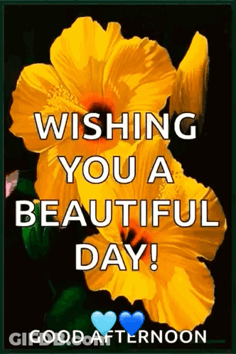 A Picture Of A Yellow Flower With The Words Wishing You A Beautiful Day . GIF
