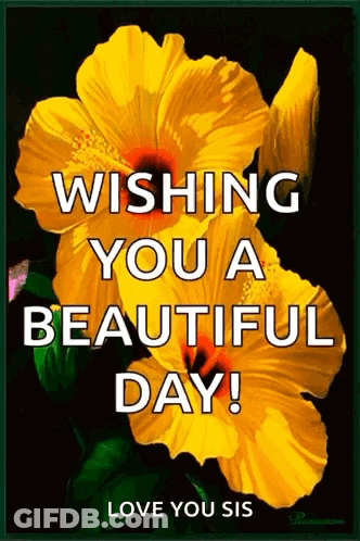 A Picture Of A Yellow Flower With The Words Wishing You A Beautiful Day GIF
