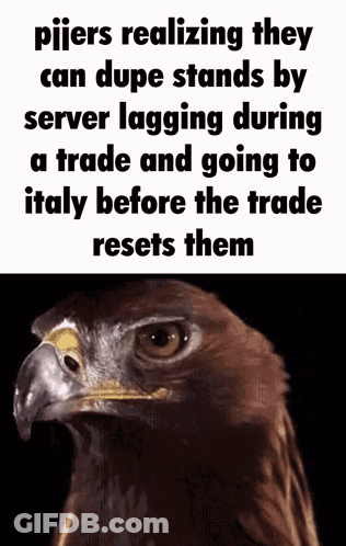 A Picture Of An Eagle With A Caption That Reads " Pijers Realizing They Can Dupe Stands By Server Lagging GIF