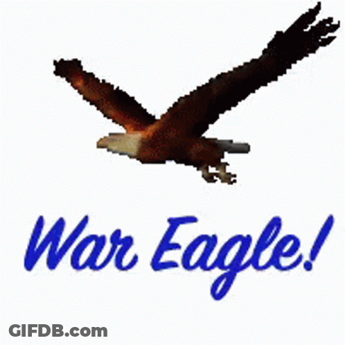 A Picture Of An Eagle With The Words War Eagle Written On It GIF