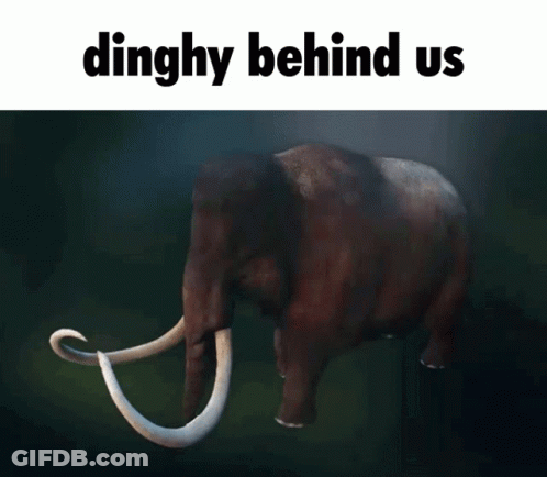 A Picture Of An Elephant With The Words " Dinghy Behind Us " Above It GIF