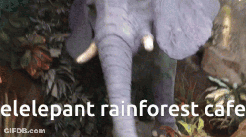 A Picture Of An Elephant With The Words " Elepant Rainforest Cafe " Below It GIF