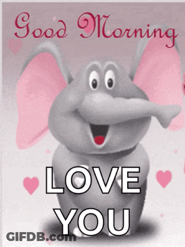 A Picture Of An Elephant With The Words " Good Morning Love You " On It GIF
