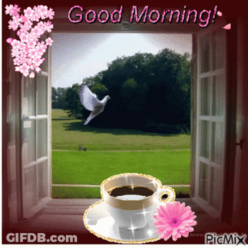 A Picture Of An Open Window With A Cup Of Coffee And A Bird Flying Over A Field GIF