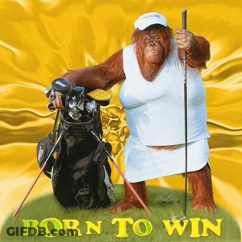 A Picture Of An Orangutan Holding A Golf Club And A Golf Bag With The Words Born To Win GIF