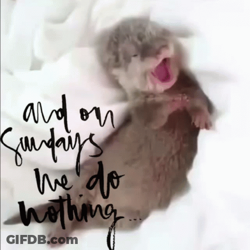 A Picture Of An Otter With The Words " And On Sundays We Do Nothing " On It GIF