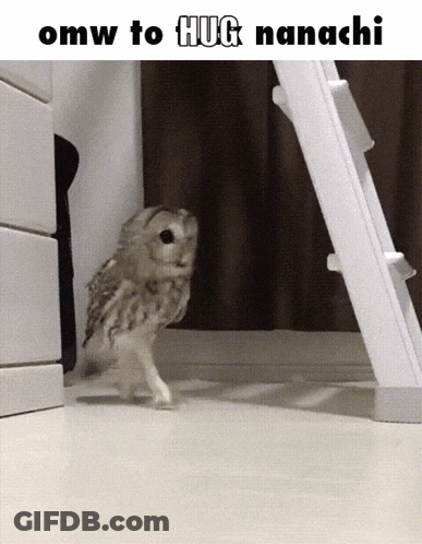 A Picture Of An Owl That Says Omw To Hug Nanashi GIF