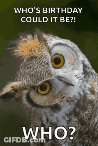 A Picture Of An Owl With The Words Who 'S Birthday Could It Be GIF